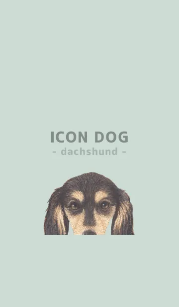 [LINE着せ替え] ICON DOG - ダックスフンド - PASTEL GR/11の画像1