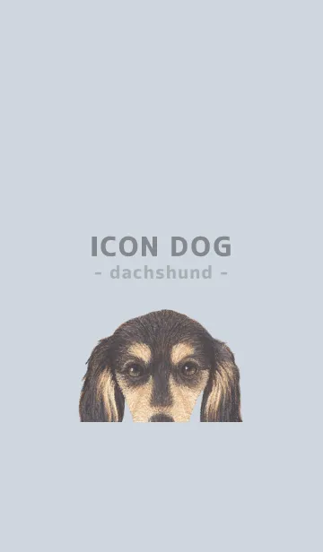 [LINE着せ替え] ICON DOG - ダックスフンド - PASTEL BL/11の画像1