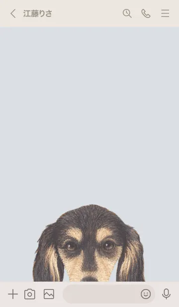 [LINE着せ替え] ICON DOG - ダックスフンド - PASTEL BL/11の画像3