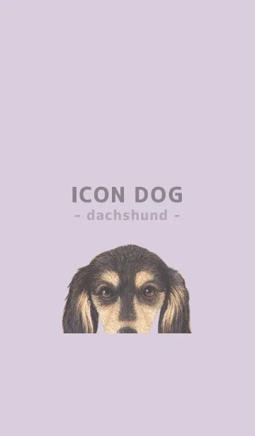 [LINE着せ替え] ICON DOG - ダックスフンド - PASTEL PL/11の画像1