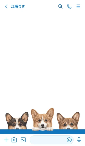 [LINE着せ替え] ワンワン - コーギー 01 - 白×青色の画像3