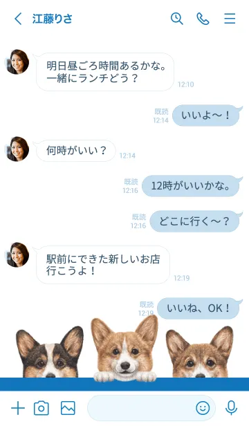 [LINE着せ替え] ワンワン - コーギー 01 - 白×青色の画像4