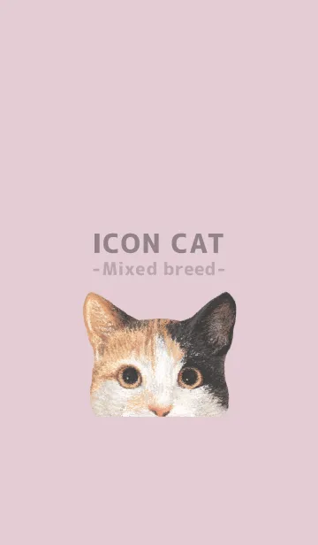 [LINE着せ替え] ICON CAT - ミックス - PASTEL PK/06の画像1