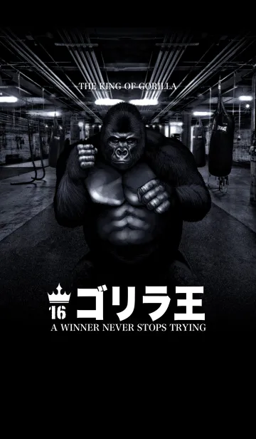 [LINE着せ替え] ゴリラ王 16の画像1