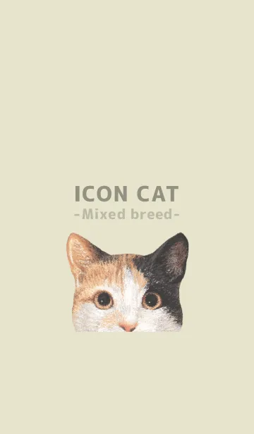 [LINE着せ替え] ICON CAT - ミックス - PASTEL YE/06の画像1