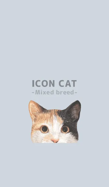 [LINE着せ替え] ICON CAT - ミックス - PASTEL BL/06の画像1