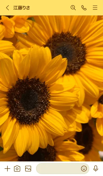 [LINE着せ替え] sunflower...13の画像3
