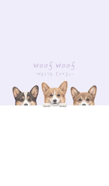 [LINE着せ替え] ワンワン - コーギー 01 - 藤 むらさきの画像1