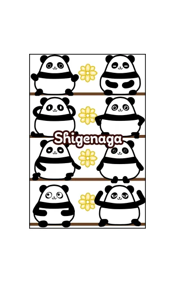 [LINE着せ替え] しげなが★まんまるカワイイ♥パンダの画像1