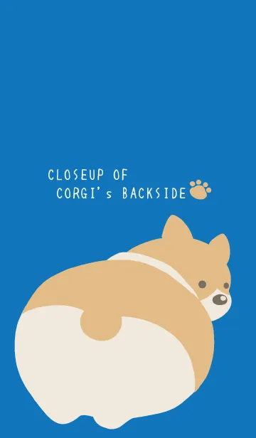 [LINE着せ替え] コーギーのおしり/ブルー/ホワイトの画像1