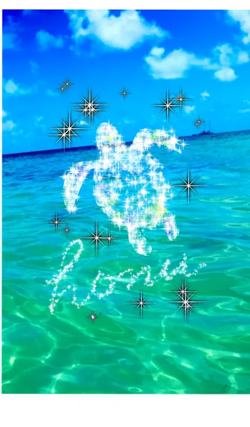 ホヌ 海の守り神 ブラック シャインの着せ替えメイン画像
