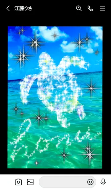 [LINE着せ替え] ホヌ 海の守り神 ブラック シャインの画像3