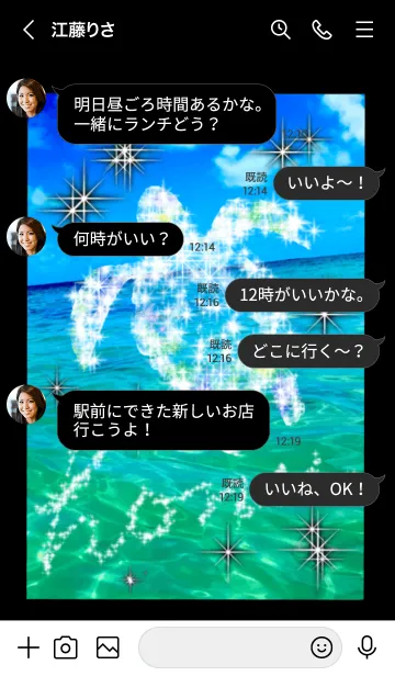 [LINE着せ替え] ホヌ 海の守り神 ブラック シャインの画像4