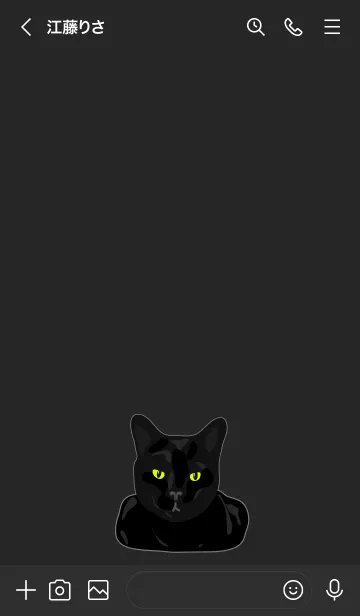 [LINE着せ替え] バウ！くろネコ (2)の画像3