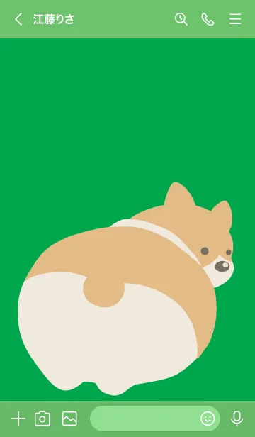 [LINE着せ替え] コーギーのおしりの着せかえ/グリーンの画像3