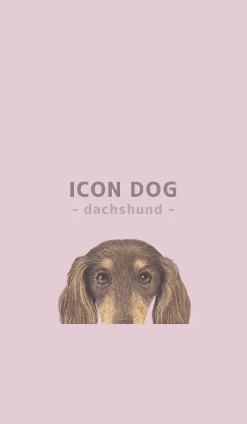 ICON DOG - ダックスフンド - PASTEL PK/12の着せ替えメイン画像