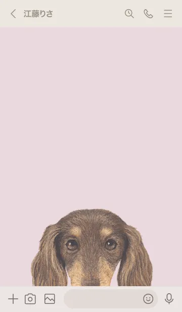 [LINE着せ替え] ICON DOG - ダックスフンド - PASTEL PK/12の画像3