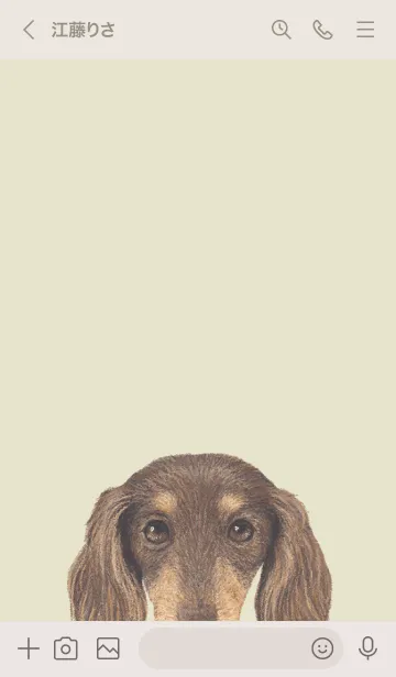 [LINE着せ替え] ICON DOG - ダックスフンド - PASTEL YE/12の画像3