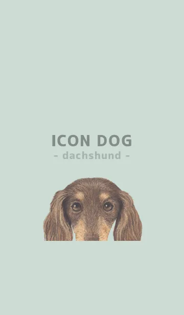 [LINE着せ替え] ICON DOG - ダックスフンド - PASTEL GR/12の画像1