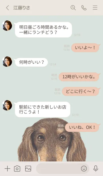 [LINE着せ替え] ICON DOG - ダックスフンド - PASTEL GR/12の画像4