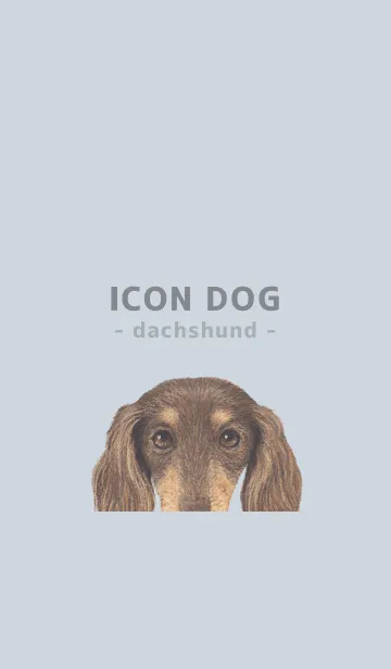 [LINE着せ替え] ICON DOG - ダックスフンド - PASTEL BL/12の画像1