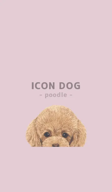 [LINE着せ替え] ICON DOG - トイプードル - PASTEL PK/01の画像1