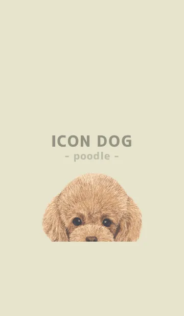 [LINE着せ替え] ICON DOG - トイプードル - PASTEL YE/01の画像1