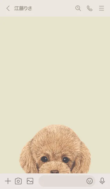 [LINE着せ替え] ICON DOG - トイプードル - PASTEL YE/01の画像3