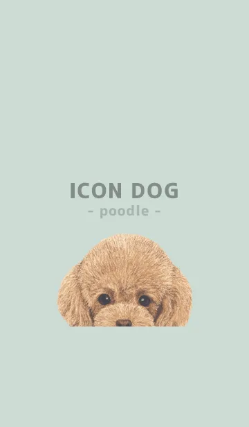 [LINE着せ替え] ICON DOG - トイプードル - PASTEL GR/01の画像1