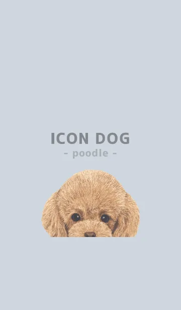 [LINE着せ替え] ICON DOG - トイプードル - PASTEL BL/01の画像1