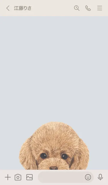 [LINE着せ替え] ICON DOG - トイプードル - PASTEL BL/01の画像3