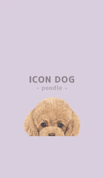 [LINE着せ替え] ICON DOG - トイプードル - PASTEL PL/01の画像1