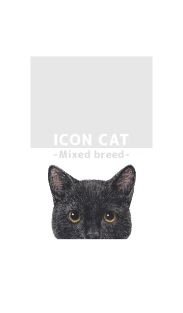 [LINE着せ替え] ICON CAT - ミックス - GRAY/07の画像1