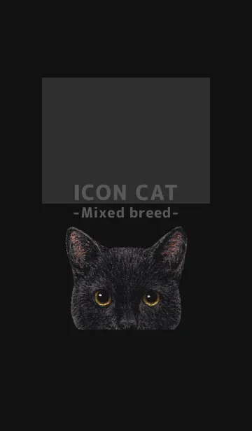 [LINE着せ替え] ICON CAT - ミックス - BLACK/07の画像1