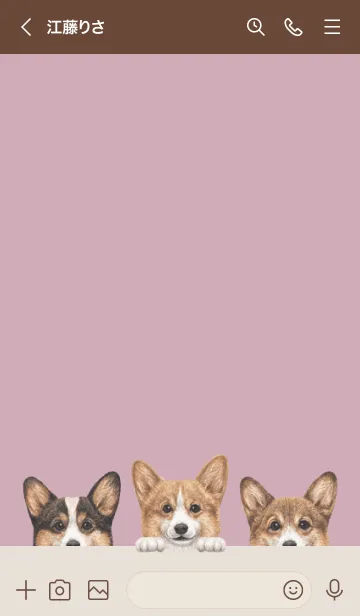 [LINE着せ替え] ワンワン-コーギー01-ダスティローズピンクの画像3