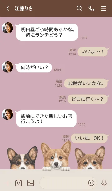 [LINE着せ替え] ワンワン-コーギー01-ダスティローズピンクの画像4