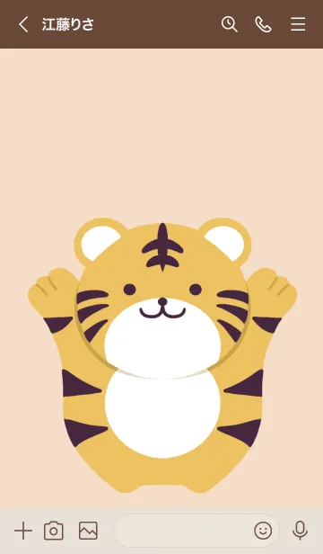 [LINE着せ替え] シンプルトラの着せかえ/アプリコットの画像3