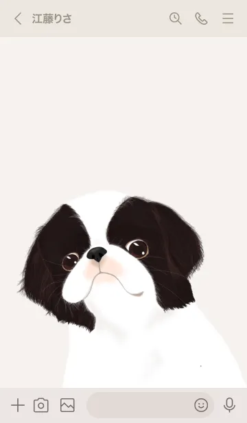 [LINE着せ替え] かわいい狆の画像3