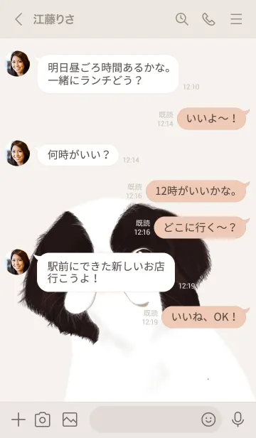 [LINE着せ替え] かわいい狆の画像4