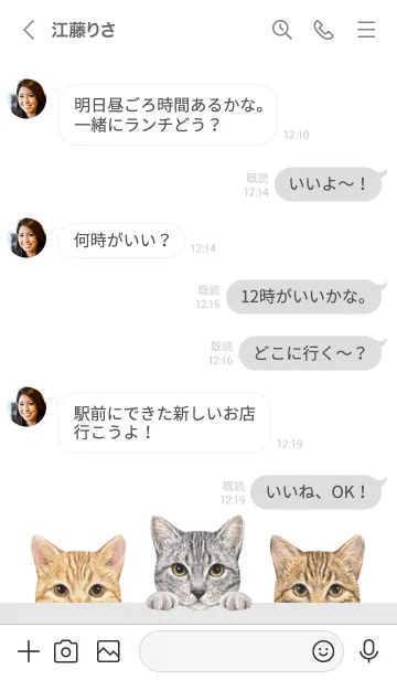 [LINE着せ替え] 猫 - ミックス 03 - 白×灰色の画像4