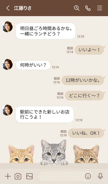 [LINE着せ替え] 猫 - ミックス 03 - ベージュ×茶色の画像4