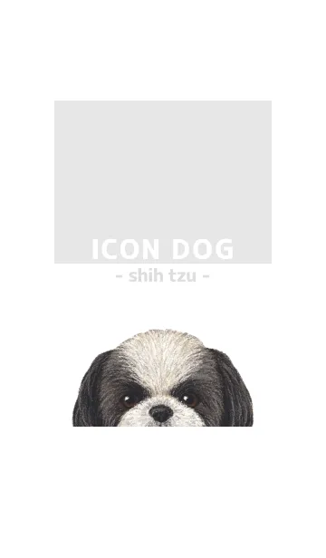 [LINE着せ替え] ICON DOG - シーズー - GRAY/01の画像1