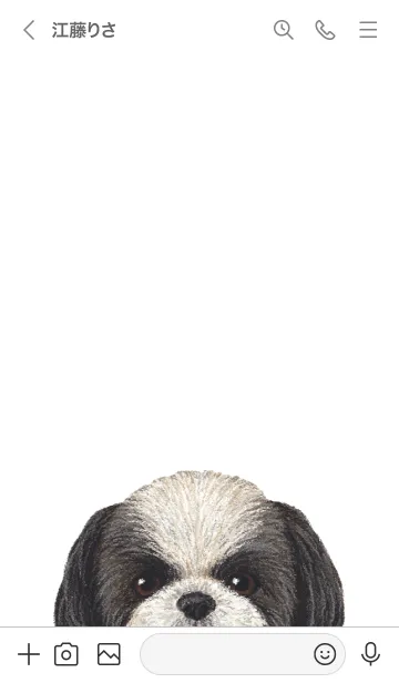 [LINE着せ替え] ICON DOG - シーズー - GRAY/01の画像3