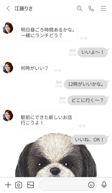 [LINE着せ替え] ICON DOG - シーズー - GRAY/01の画像4