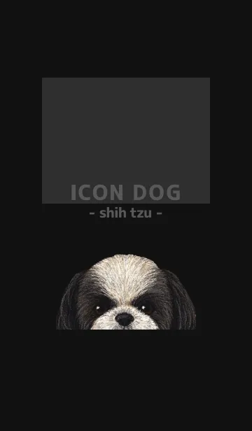 [LINE着せ替え] ICON DOG - シーズー - BLACK/01の画像1