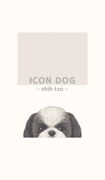 [LINE着せ替え] ICON DOG - シーズー - BEIGE/01の画像1