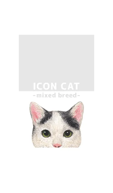 [LINE着せ替え] ICON CAT - ミックス - GRAY/08の画像1