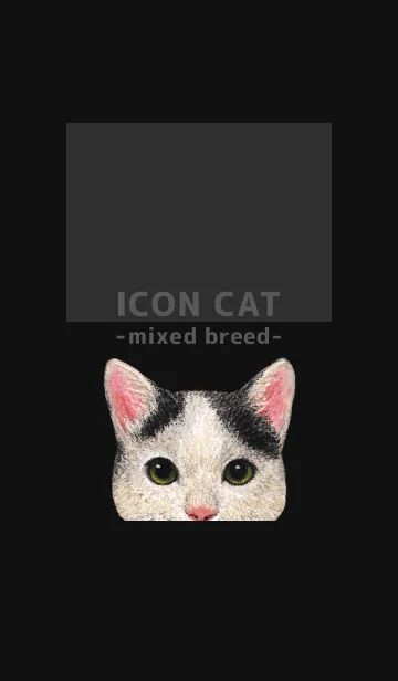 [LINE着せ替え] ICON CAT - ミックス - BLACK/08の画像1