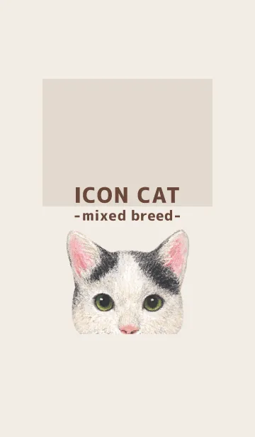 [LINE着せ替え] ICON CAT - ミックス - BROWN/08の画像1