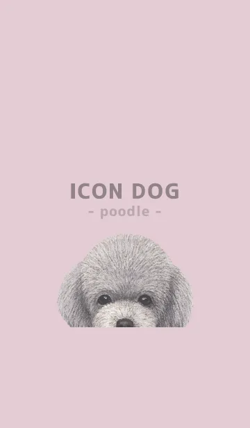 [LINE着せ替え] ICON DOG - トイプードル - PASTEL PK/02の画像1